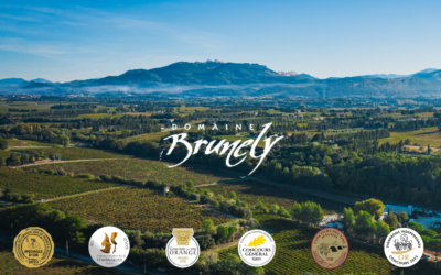 Récompenses & distinctions en 2024